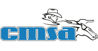 cmsa