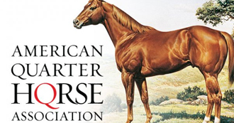 aqha-tile